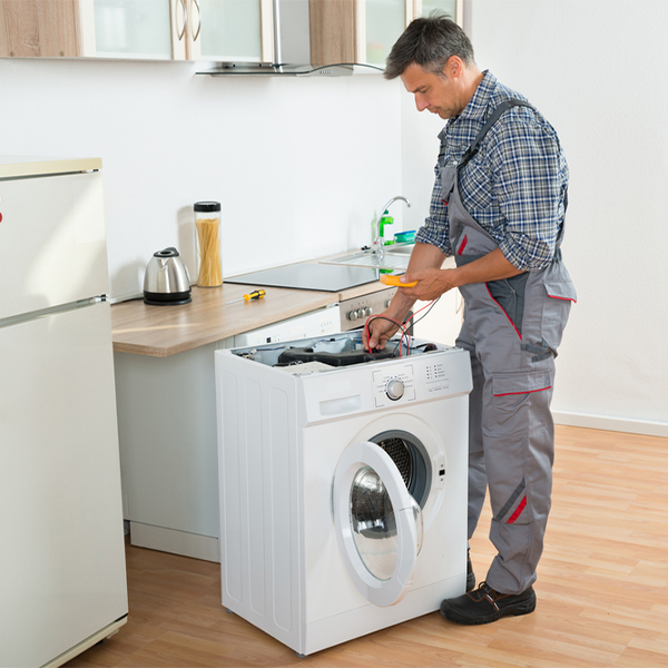 can you walk me through the steps of troubleshooting my washer issue in Panthersville